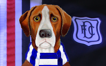 Dundee FC News Hound